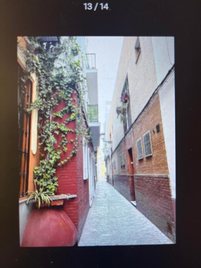 Encantador Exclusivo Centrico Appartement *